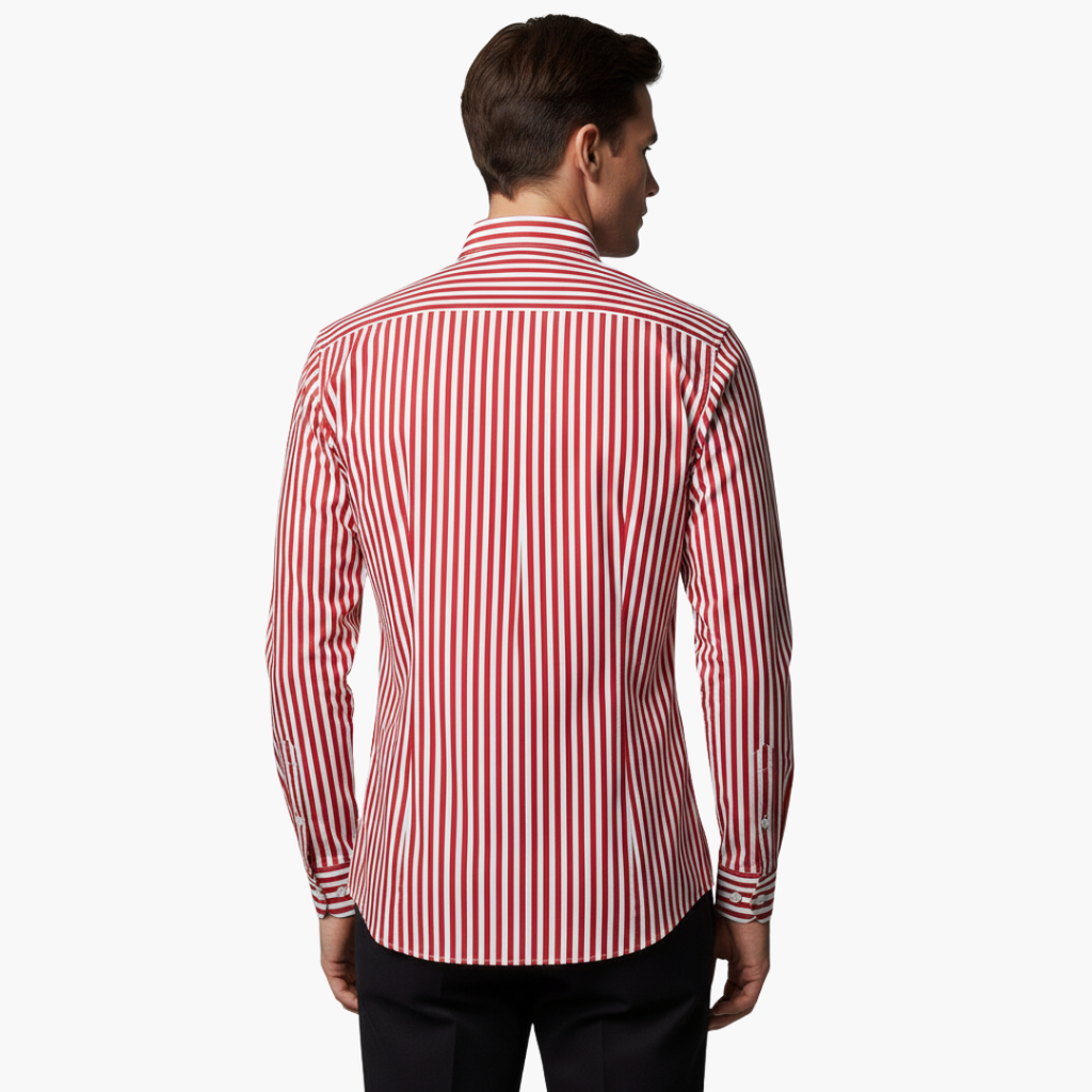 Vertical Stripe Slim Fit Dress Shirt Long Sleeve Button-Down – Axel